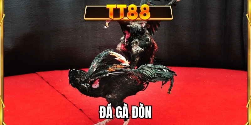Đá gà đòn